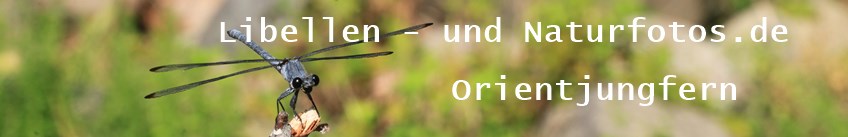 Libellen- und Naturfotos.de