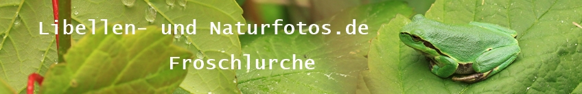 Libellen- und Naturfotos.de