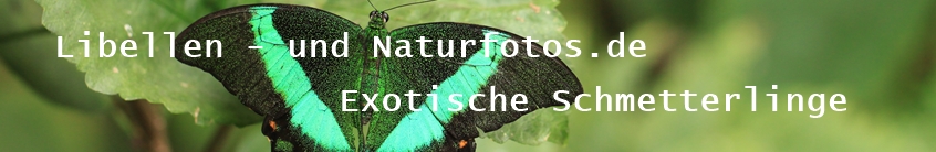 Libellen- und Naturfotos.de