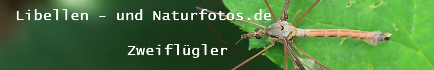 Libellen- und Naturfotos.de
