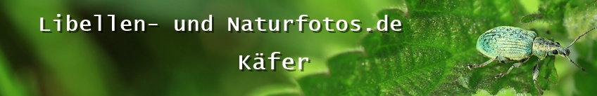 Libellen- und Naturfotos.de