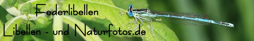 Libellen- und Naturfotos.de