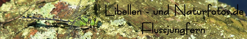 Libellen- und Naturfotos.de