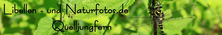 Libellen- und Naturfotos.de