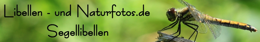 Libellen- und Naturfotos.de
