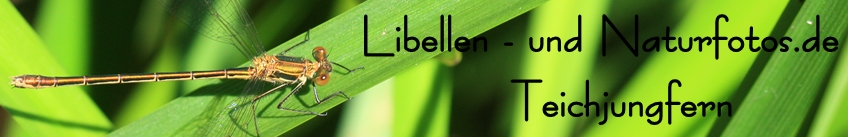 Libellen- und Naturfotos.de