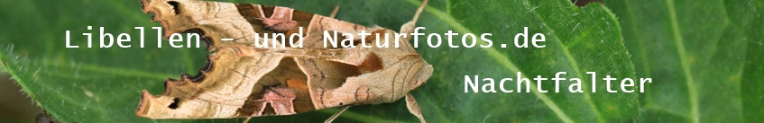 Libellen- und Naturfotos.de