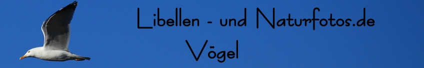 Libellen- und Naturfotos.de